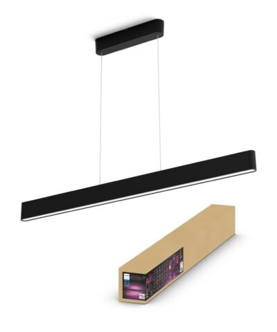 Philips Hue Lampe suspendue White & Color Ambiance