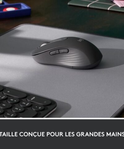 Logitech Souris Signature M650 L for Business Graphite 4
