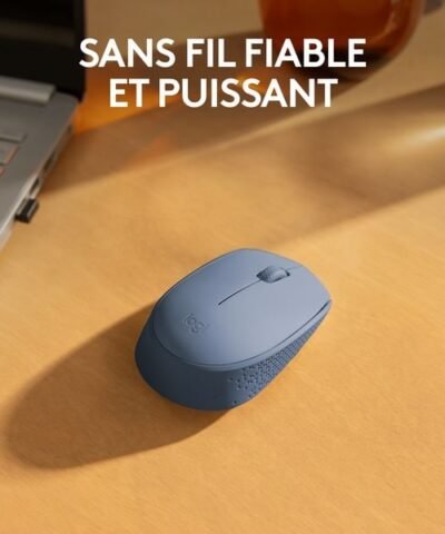 Logitech Souris portable M171 , sans fil 1