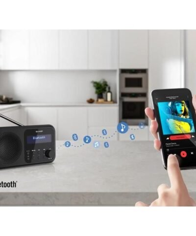 Sharp Radio DAB+ DR-P420 – Noir 7