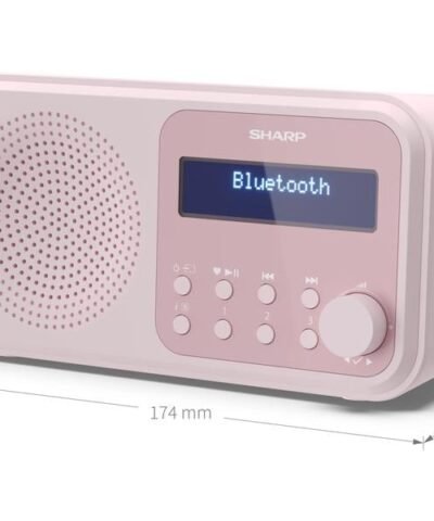 Sharp Radio DAB+ DR-P420 – Rose 6