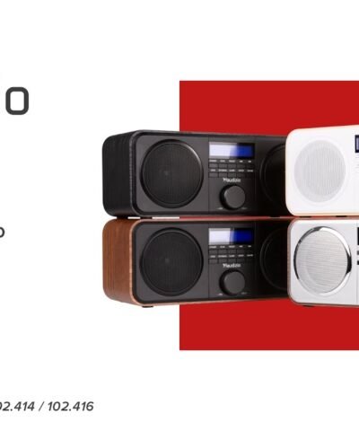 Audizio Radio DAB+ Novara Aspect bois 8