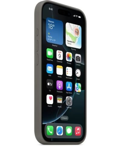 Apple Silicone Case avec MagSafe iPhone 16 Pro Gris pierre 1